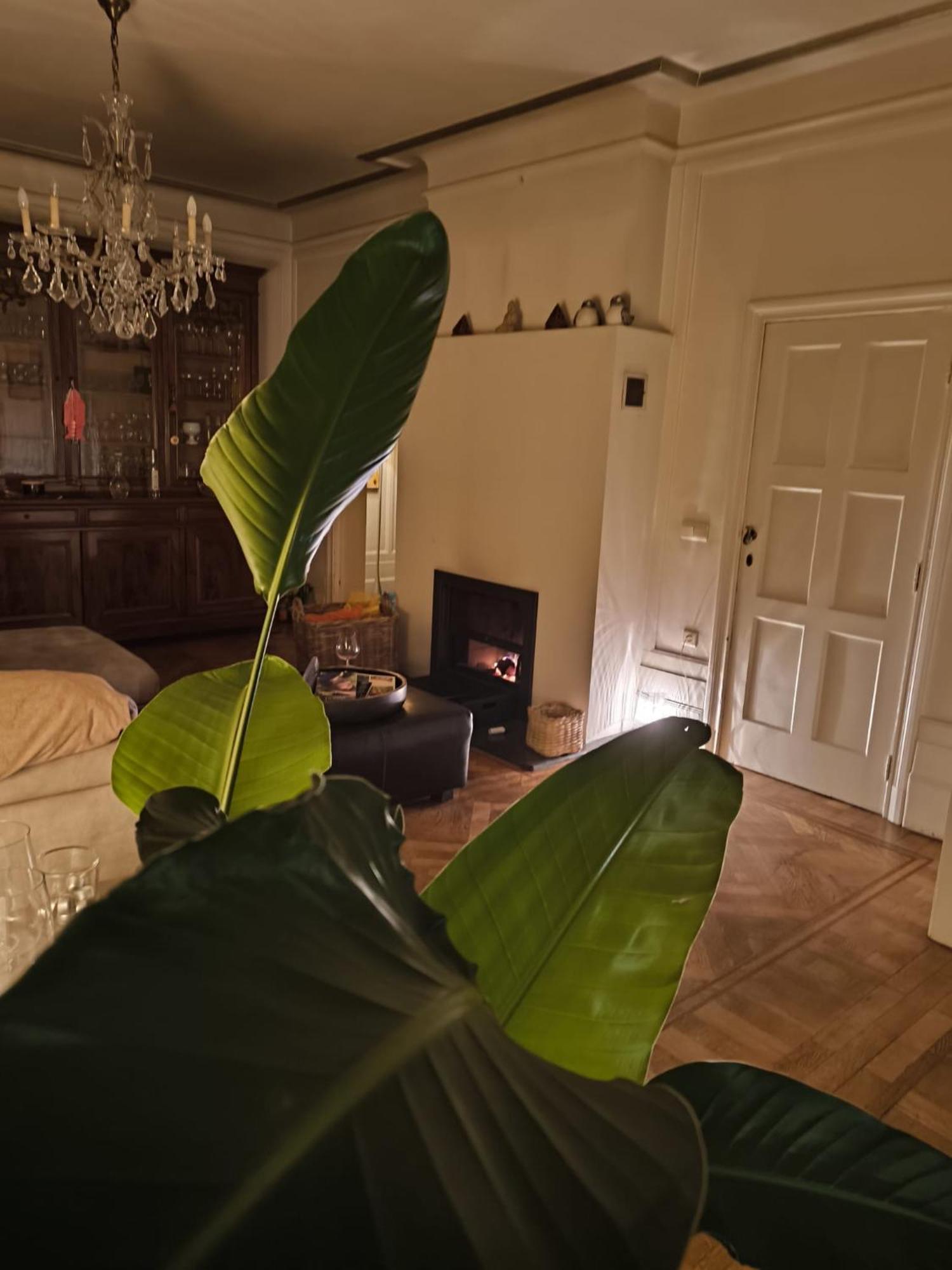 Le Castel Mosan Apartman Namur Kültér fotó