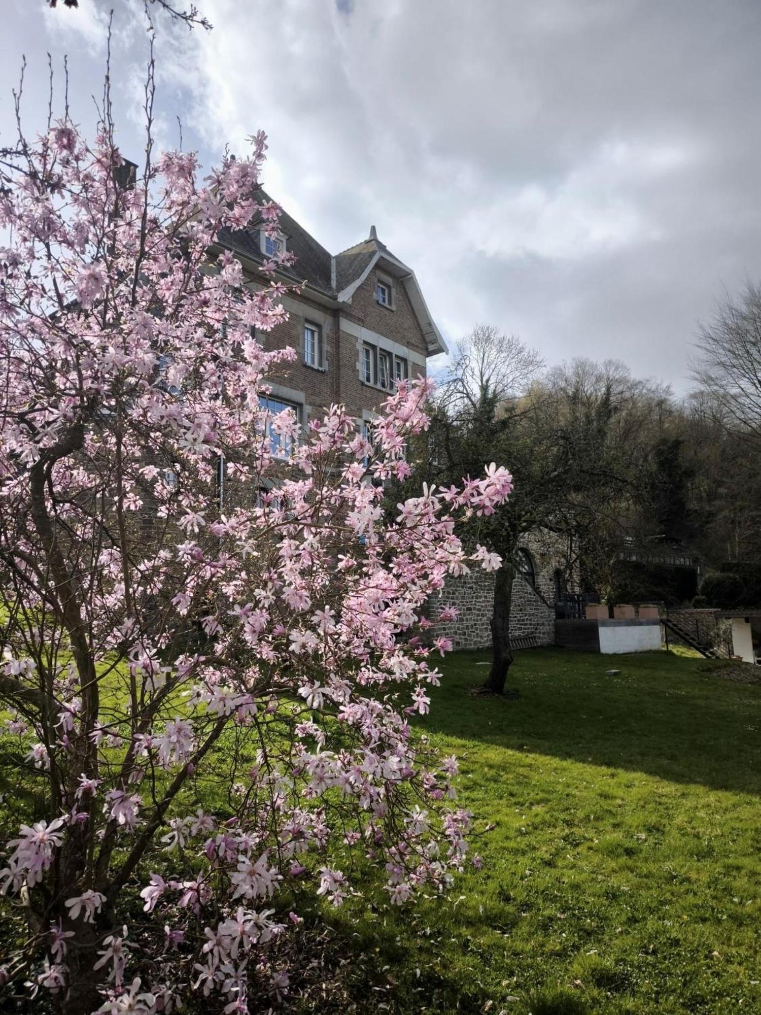 Le Castel Mosan Apartman Namur Kültér fotó